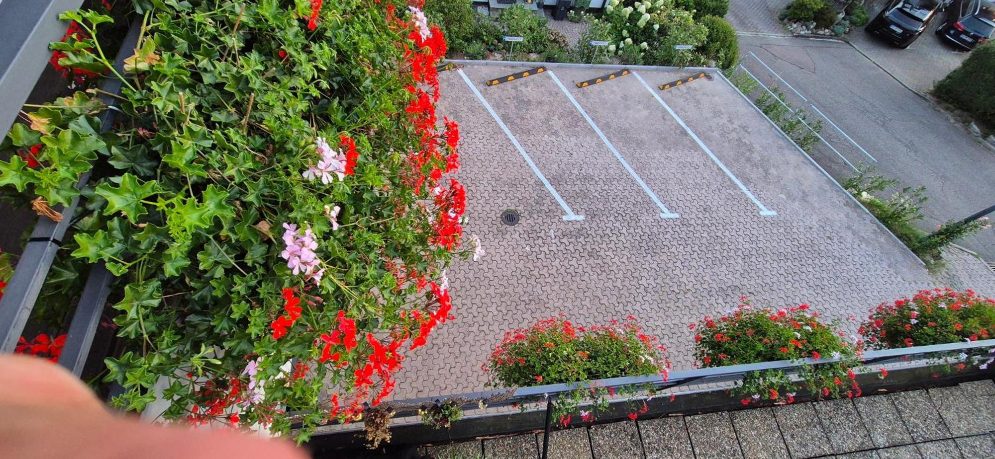 Renatas Ferienwohnung Stanel Sasbachwalden Exterior foto